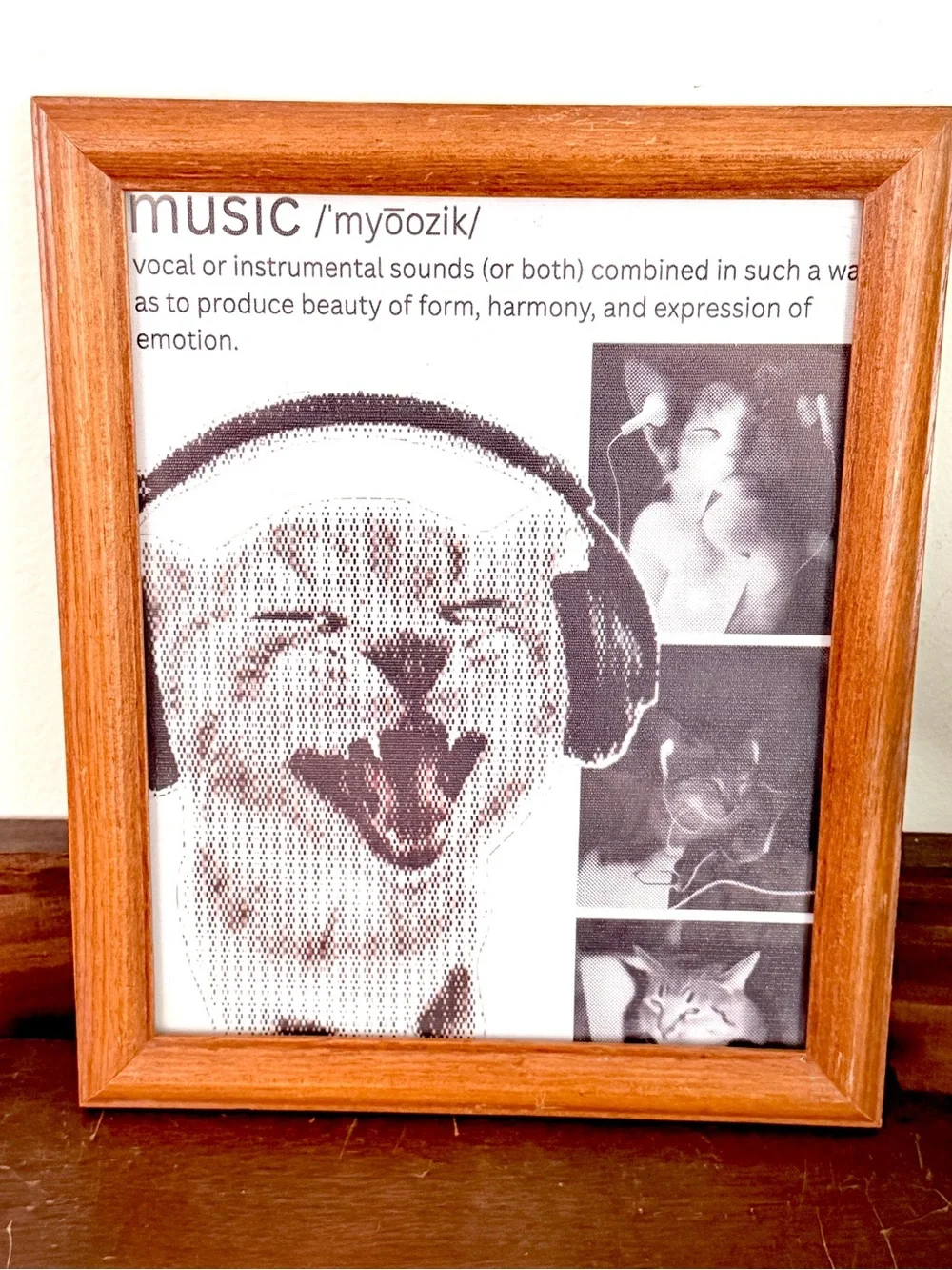 Music Definition Cats w Headphones Earbuds Kitties Canvas Art Print Wood Framed